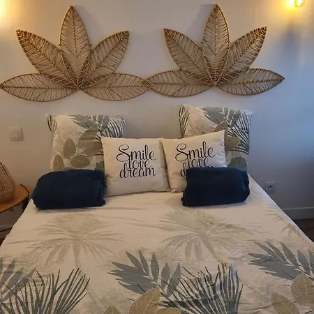 Feriehus Maison De 2 Avec Rooftop Thuir